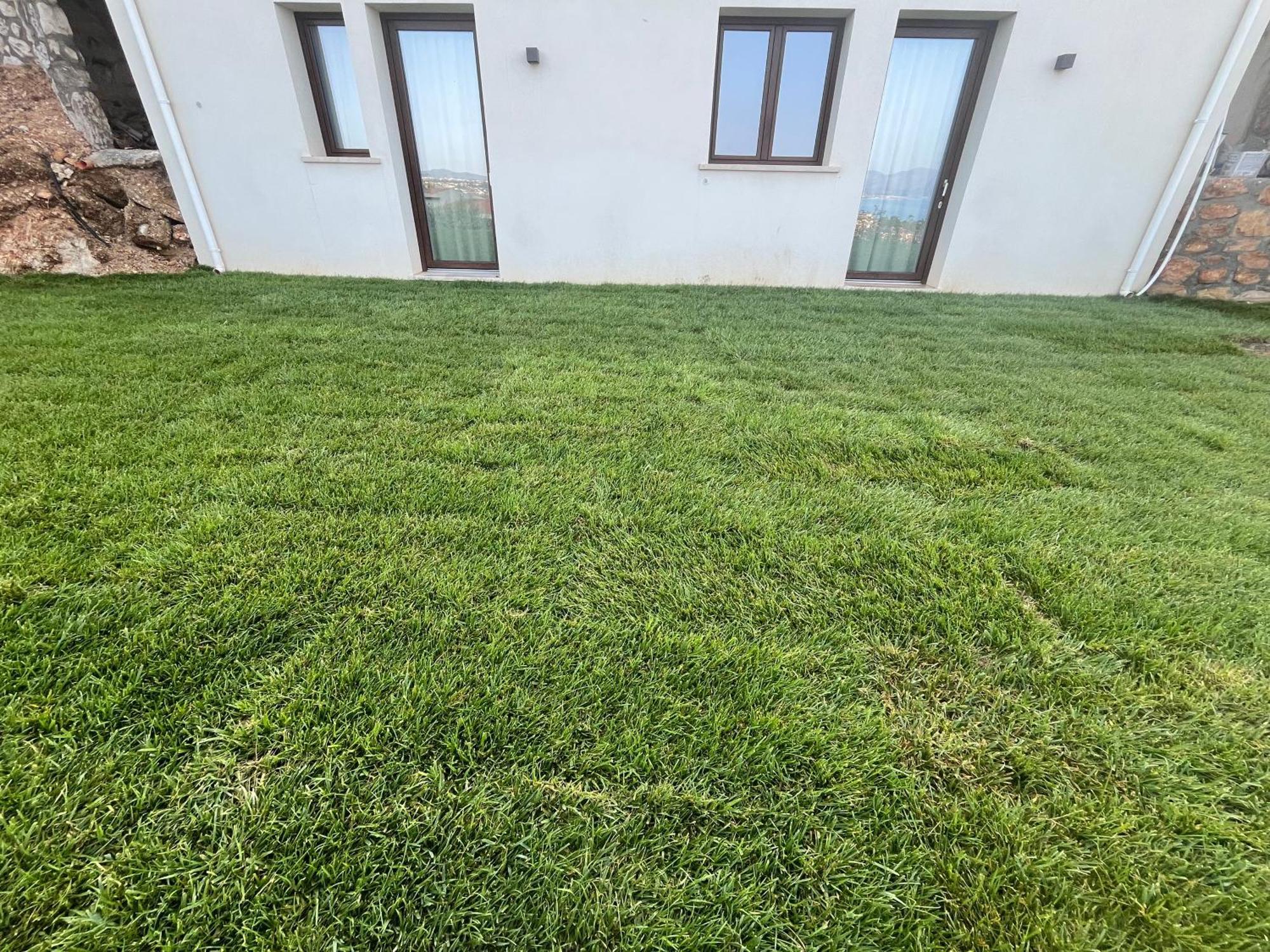 Tenuta Rapillo Castellammare del Golfo Εξωτερικό φωτογραφία